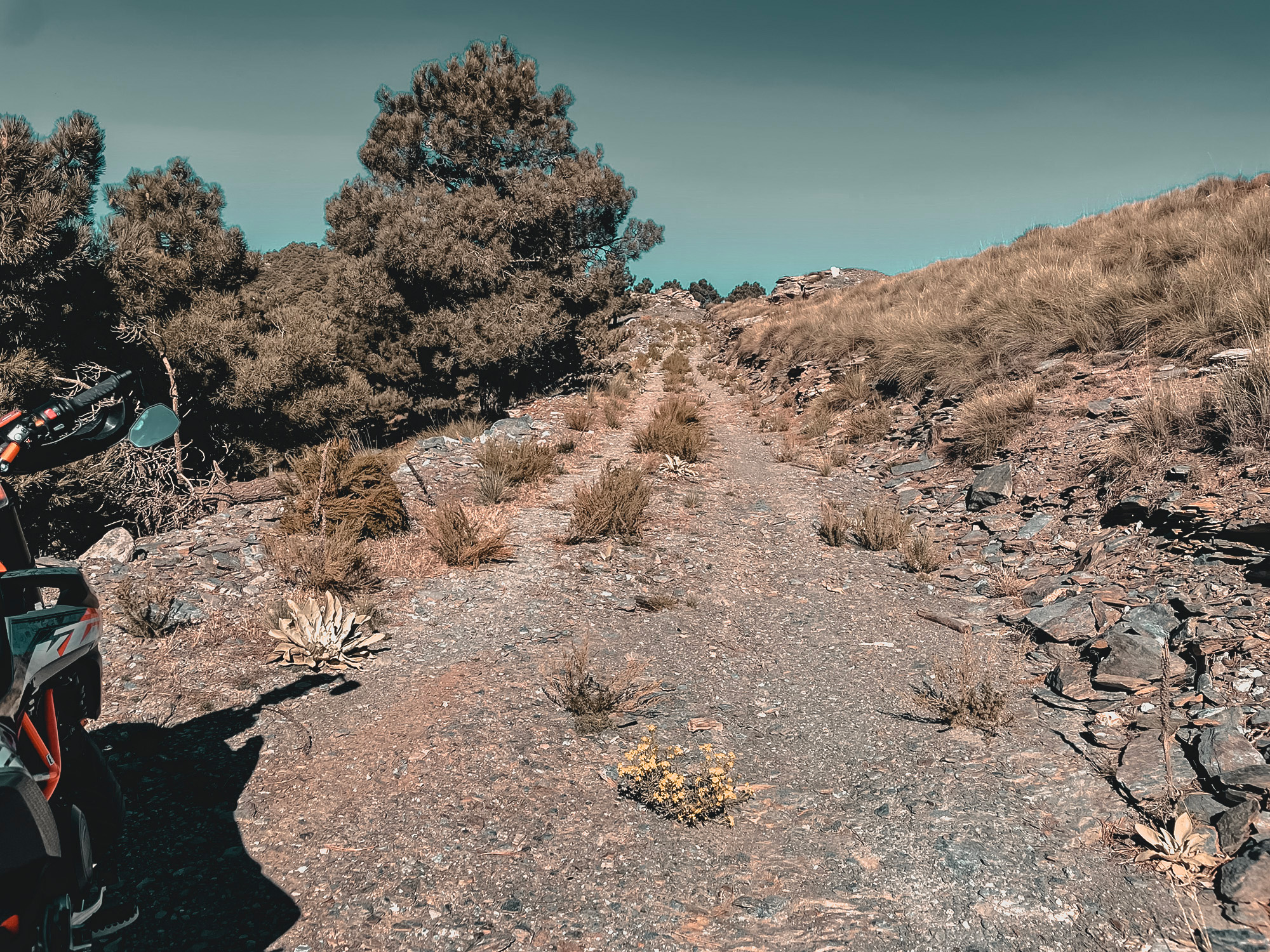 vila_groot_moto02